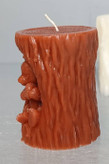 خرس عسلی